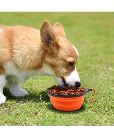 Slson Foldable Pet Bowl - Portable Travel Bowl for Dogs & Cats (350ml) with Carabiner Water & Food Bowls in Orange & Pink - Buy Online on GoSupps.com