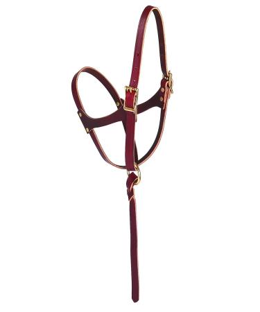 Weaver Leather Figure-8 Foal Halter Russet, 5/8" - Buy Online on GoSupps.com