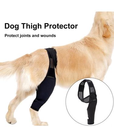 Pet Dog Injury Knee Brace Leg Inflammation Pain Alleviate Leg Support Sheaths for Dogs Outdoor Walking Accessories - Buy Online on GoSupps.com