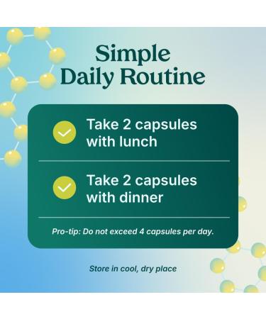 Poop Like a Champion Gut Power Synbiotic (Prebiotic Probiotic Postbiotic) 60 Capsules Vegan Non-GMO Digestive Health Supplement 6.5billion CFU - Buy Online on GoSupps.com