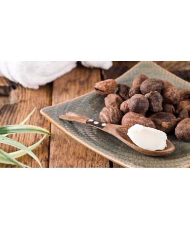 Premium Quality African Shea Butter - Natural Creamy White for Acne-Prone Skin - 8 Oz Jar at Affordable Price - Buy Online on GoSupps.com