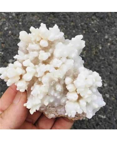 1pc 100g-580g Natural Raw Rough Rock Specimen White Stalactite Crystal Cluster for Home Decoration HOMEZHOU (Size : 1pc 290g-340g)