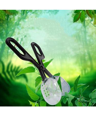 Toyvian Reptiles Zonge Clip - Feeding & Cleaning Tool for Amphibians Terrarium Spiders Crickets & Small Pets - 2 Pieces | Ideal for Aquariums - Buy Online on GoSupps.com