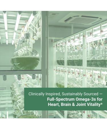 Naturalis Double Strength Vegan Omega 3 DHA EPA & DPA from Microalgae | Vegan Society Certified Sustainably Sourced True Full Spectrum | 90 Veggie Softgels (Carrageenan Free) 90 Count (Pack of 1) - Buy Online on GoSupps.com