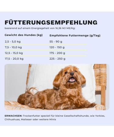 Buy Hey Holy Marvelous Mini's Grain-Free Dry Dog Food with 40% Trout - 7kg Pack - Ideal for Adult Dogs - Limited Ingredients and Easily Digestible - Buy Online on GoSupps.com