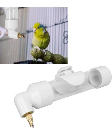 Buy Gloglow Automatic Bird Drinking Device - Acrylic Parrot Water Bottle for Small & Medium Birds | Large Capacity Cage Accessories (White) - Buy Online on GoSupps.com