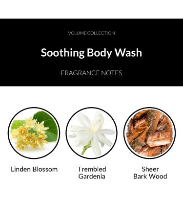 Number 4 Fleurs de Temps Soothing Body Wash. Moisturizing Body Wash with Vitamin E and Oat Extract 16.9 oz 16.9 Fl Oz (Pack of 1) - Buy Online on GoSupps.com