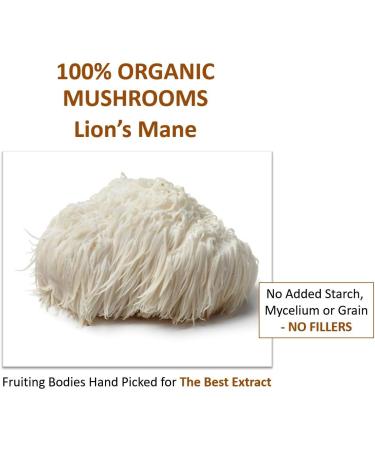 Organic Lions Mane Mushroom Powder (227g) - Vegan & Non-GMO Nootropic Supplement for Brain Health, Neuron Growth, and Immune Support - Buy Online on GoSupps.com