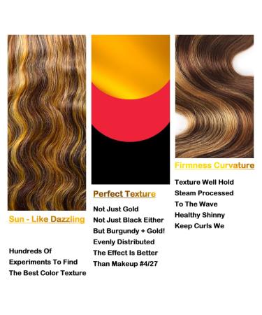 BEANATASHA 18 Ombre Body Wave Lace Front Wig P4/27 | Pre Plucked 180% Density Human Hair - Star Popular Option - Buy Online on GoSupps.com
