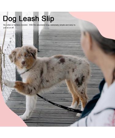 Zopseet Dog Leash Slip Nylon Dog Rope Leash & Collar Dog Choke Collar Handmade of Strong Cord for Small Medium Dogs Puppies - Buy Online on GoSupps.com