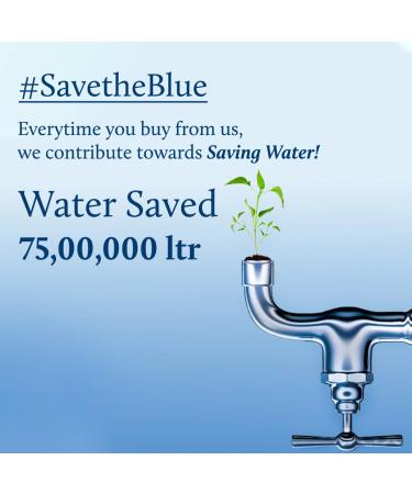 Buy Blue Nectar Lip Tint Stain | Hydrating Sheer Nude Tint with Shea Butter for Natural Lips - 10g - Buy Online on GoSupps.com