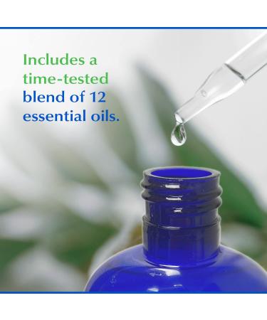 EcoDent Sparkling Clean Mint Daily Mouth Rinse & Wound Cleaner with Essential Oils and Baking Soda - 2-Pack 8 Fl Oz Ea - Buy Online on GoSupps.com