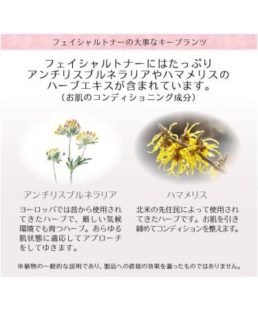 Dr Hauschka Facial Toner 100ml - Buy Online on GoSupps.com