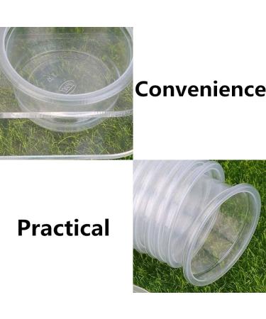 NA Reptile Feeding Ledge with 10 Pcs Water Food Bowl Feeding Dish Gecko Feeder Bowls for Bearded Dragon Turtles Guana Tortoises - Buy Online on GoSupps.com