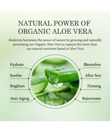 Aloderma Aloe Vera Gel Set 3 Pieces - 500g Aloe Vera Gel 300g Aloe Vera Gel 300g Aloe Vera Gel + Tea Tree Oil - Buy Online on GoSupps.com