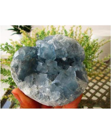 Natural Crystal Rough Natural Blue Celestite Cluster Geode Specimen Rock Gem for Home Decoration 1PC 500grams - Buy Online on GoSupps.com