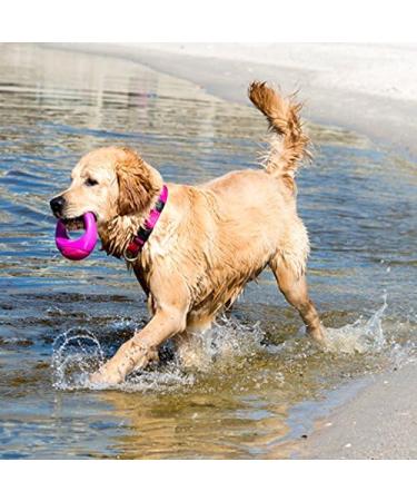 ROGZ PU02-K Pop Upz Throwing Ring - Small Pink | Fun & Durable Dog Toy for Fetch | International Shipping Available - Buy Online on GoSupps.com