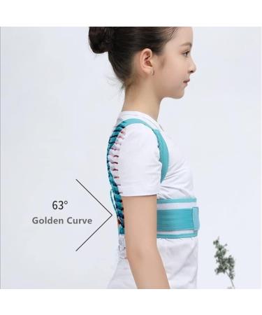 Back Support Back Brace Lumbar Support Back Posture Corrector Orthopedic Corset Shoulder Lumbar Spine Decompression Back Support Belt(Blue Large) Large Blue - Buy Online on GoSupps.com