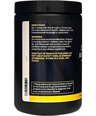 Instantized Creatine Monohydrate | High-Purity Performance Powder | 100 Servings for Strength & Muscle Growth - Buy Online on GoSupps.com