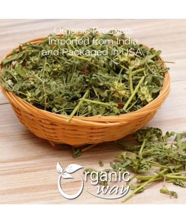 Organic Way Gokshura Powder (Tribulus Terrestris) - Organic & Kosher Certified | Raw Vegan Non GMO & Gluten Free | USDA Certified | Origin - India (1LBS/ 16Oz) 16 Ounce (Pack of 1) - Buy Online on GoSupps.com