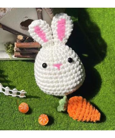 Beginner Crochet Kit: Rabbit & Carrot Stuffed Animal DIY Set with Video Tutorials - Buy Online on GoSupps.com