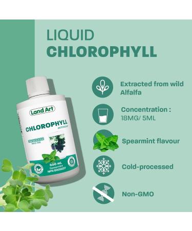 Liquid Chlorophyll Mint Cold Extracted from Non-GMO Alfalfa - Detox - Alkaline - Natural Body Deodorant Antioxidant - Made in Canada (Pack of 2) 500 ml (Pack of 2) - Buy Online on GoSupps.com