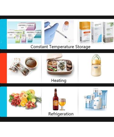 12L Insulin Cooler Dual-core Medical Refrigerated Car Refrigerator Temperature Control 2-8 C Insulin Interferon Portable Refrigerator White - Buy Online on GoSupps.com