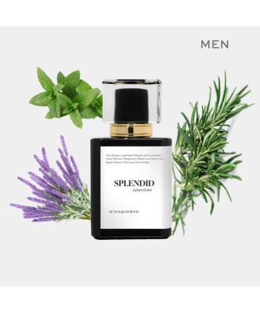 SPLENDID | Inspired by TF BEAU DE JOUR EDP | Pheromone Perfume for Men | Extrait De Parfum | Long Lasting Dupe Clone Perfume Cologne | Perfume De Hombre | (30 ml / 1 Fl Oz) 1 Fl Oz (Pack of 1) - Buy Online on GoSupps.com