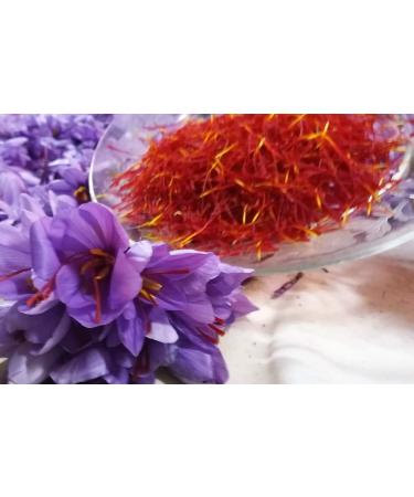 Select Spices Saffron of the highest quality quality category I ISO 36322 traditional preparation great aroma and taste 10g 100 Gram - Buy Online on GoSupps.com