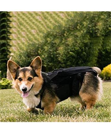 rumoe Dog Back Brace for IVDD Pet Dog Back Brace Comfortable Full Body Harness Dog Clothing Dog Back Protector S - Buy Online on GoSupps.com