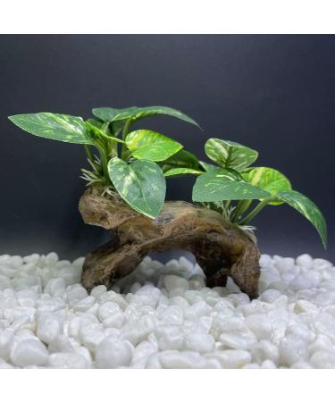 Buy Smoothedo-Pets Aquarium Decorations - Betta Silk Blade Pad Artificial Driftwood & Shell Accessories for Goldfish | International Shipping Available - Buy Online on GoSupps.com