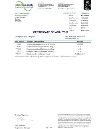 Buy 10g Kombuchaorganic Kefir Grains - Certified Live Bacteria for Organic Cow s Milk Fermentation - Buy Online on GoSupps.com