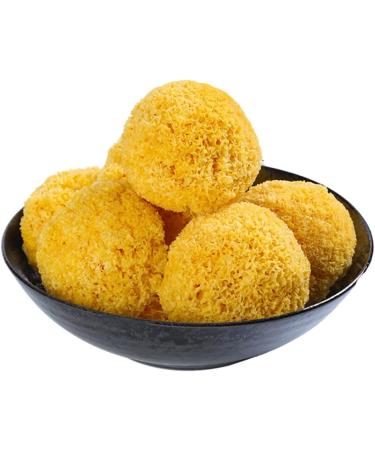 White Fungus Mushroom Tremella Premium Grade (250 Grams) 250 g (Pack of 1) - Buy Online on GoSupps.com