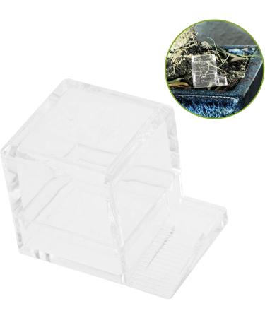 BESPORTBLE 4pcs Pet Water Feeder Ants Nest Water Feeding Area Water Bowl for Ants Small Ants Feeder Plastic - Buy Online on GoSupps.com