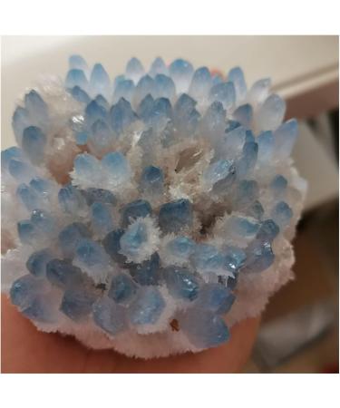 Rare Beautiful Blue Ghost Phantom Quartz Crystal Cluster Specimen Decoration Crystal Cluster (Size : 400-500 g) - Buy Online on GoSupps.com