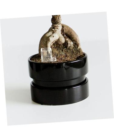 VANZACK Pet Water Feeder Small Ants Feeder Insect Water Feeder Ants Feeding Bowl Clear Ants Feeder Plastic - Buy Online on GoSupps.com