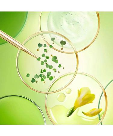 Nuxe Nuxuriance Ultra The Global Anti-Aging Cream SPF30 50ml - Buy Online on GoSupps.com