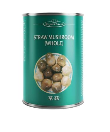 ROYAL ORIENT - Champignons de paille - (1 X 425 GR)