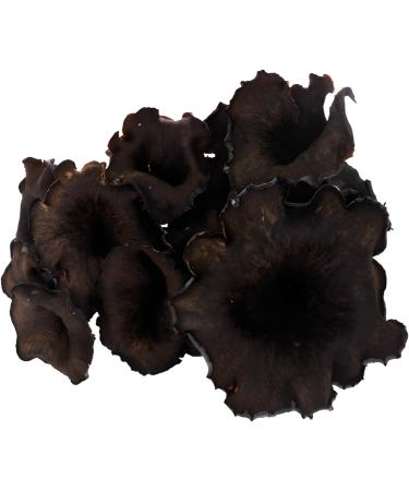  Bontout Set of 3 Trumpets - Pot 100 g - Buy Online on GoSupps.com