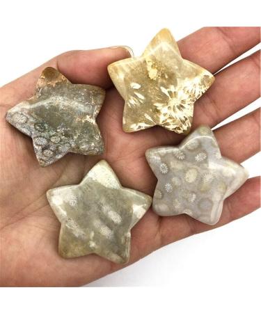1 Piece Natural Coral Ammonite Star Crystal Stone Suitable for Home Chakra Reiki Balancing - Buy Online on GoSupps.com