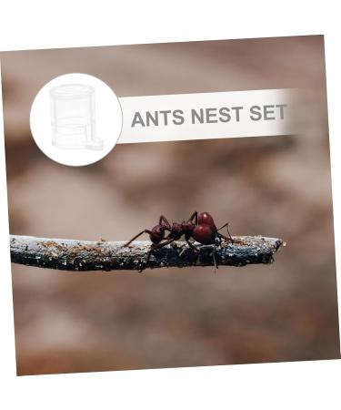 Buy Minkissy 3pcs Pet Water Feeder & Ant Farm Observation Kit | Mini Pet Houses & Acrylic Feeding Cup for Ants | International Shipping Available - Buy Online on GoSupps.com