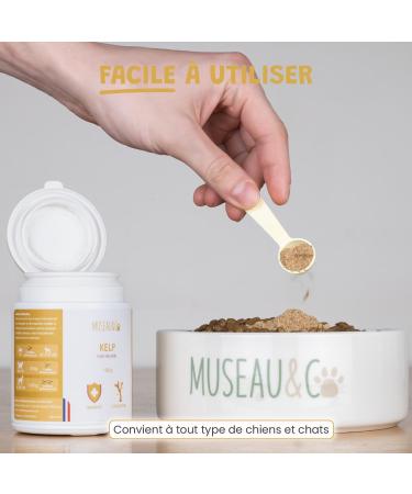 Kelp Powder for Dogs and Cats - 100% Natural Food Supplement - Rich in Iodine and Minerals - Boosts Immune Defenses - Supports the Thyroid - 100g - Buy Online on GoSupps.com