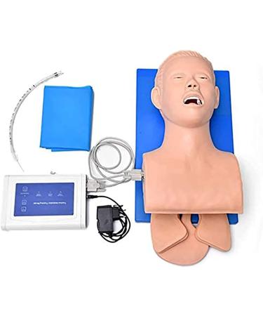 Buy Human Body Airway Management Trainer - PVC Intubation Teaching Model for Oral-Nasal-Tracheal Training | International Shipping Available - Buy Online on GoSupps.com