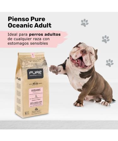 Avantis Pet Pure Oceanic Adult - Food for Adult Dogs of All Breeds with Sensitive Stomachs - 12 kg - Dry Food for Dogs with Digestive Disorders - Highly Digestible with Salmon - Buy Online on GoSupps.com