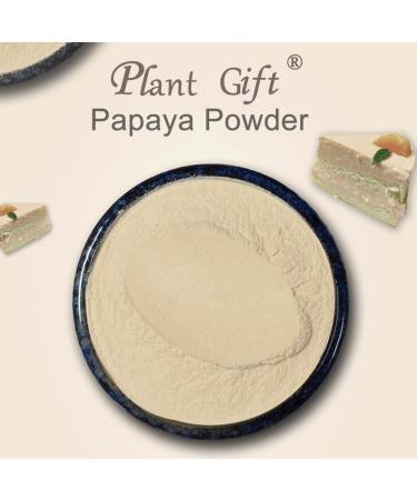 100% Natural Pure Papaya powder 100g/3.52oz naturellement riche en enzymes de papaye pour smoothies shakes p tisseries et boissons sans conservateurs sans sucre ajout  - Buy Online on GoSupps.com