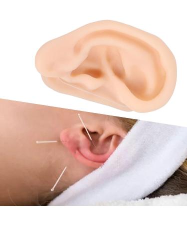 Soft Silicone Ear Model for Acupuncture Practice - Right Ear Teaching Demonstration Tool - Buy Online on GoSupps.com
