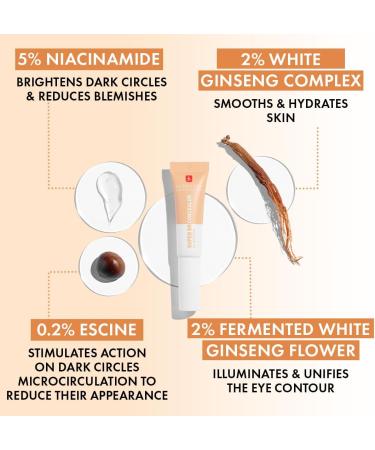 Erborian Super BB CONCEALER High coverage concealer enriched with Niacinamide and SPF 25 Moisturizing eye corrector natural finish Korean cosmetics Chocolate 10 ml - Buy Online on GoSupps.com