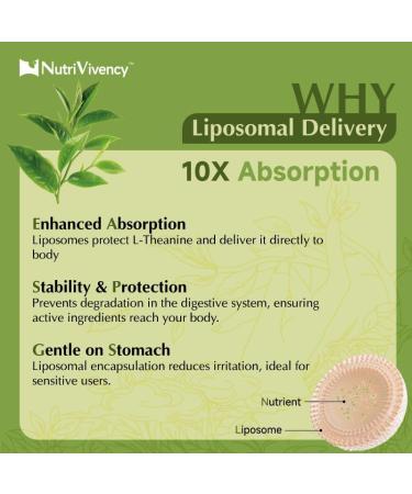 Liposomal L-Theanine Gummies, Sugar Free L Theanine 400mg Gummies Supplement for Adults & Kids, l'theanine Chewable for Relax & Improved Focus, Enhanced Absorption, Vegan, Green Apple Flavor, 60 Count - Buy Online on GoSupps.com