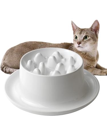 Slow Feeder Cat Bowls,Raised Cat Bowl Fun Pet Feeder Bowl Stopper,Interactive Bloat Stop Cat Feeder,Durable and Prevents Obesity Improves Digestion Pet Bowl White fishbone design