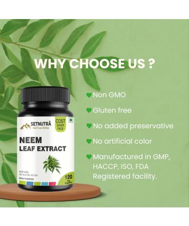 SETNUTRA Well From Within Pure Neem Leaf Extract 500Mg | Natural Detox Support Skin Health & Immune Support | Non GMO Gluten Free Vegan Capsules (120 Count) - Buy Online on GoSupps.com